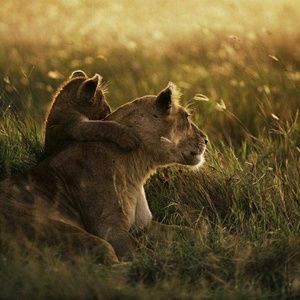 Meet your Posher, Shawn